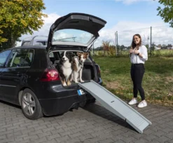 Hunderampe Emma Belastbar Bis 40kg Tiereinstiegshilfe Für PKW Busse Vans Camping -Duswagen Verkaufe 2371df33d40a69cfa8083f2d6943a3cf