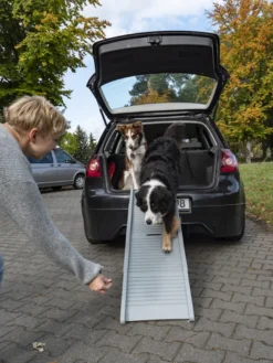 Hunderampe Emma Belastbar Bis 40kg Tiereinstiegshilfe Für PKW Busse Vans Camping -Duswagen Verkaufe 408bb48cac556c21b437b70af73e39b0