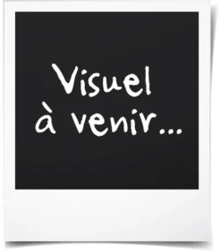 Michelin Wagenheber 009556 Hydraulisch -Duswagen Verkaufe 410fc6726aaff05b88f7291d126af54b