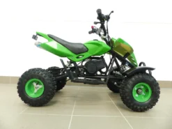 RV-Racing Kinderquad 49ccm Quad ATV Miniquad Kinder Pocketbike Pocketquad Grün -Duswagen Verkaufe 529ffcd2e136946586051143afa21f64