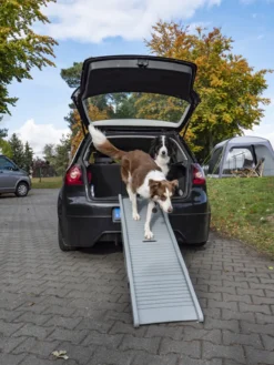 Hunderampe Emma Belastbar Bis 40kg Tiereinstiegshilfe Für PKW Busse Vans Camping -Duswagen Verkaufe 5df48ff41e8310cc99001add5cf009bf