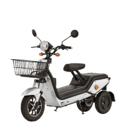 E-Kompakt 3-Rad Roller Napoli, Farbe:Silber, Ausführung:ohne Gepäckbox