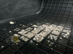 Gummimatten Für Autos, Fußmatten Kompatibel Mit Fiat 500 (2007 Bis Jetzt) -Duswagen Verkaufe 8e143409accaa67f4dbb271d6c2c9139