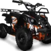Pocketquad 49ccm Miniquad Quad Kinderquad Quad Pocketbike 49cc Orange E-Start -Duswagen Verkaufe 96704d037fecbab9b1c9bbee84bc7ab1